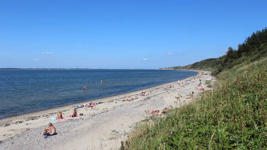 Toftum Bjerge Camping