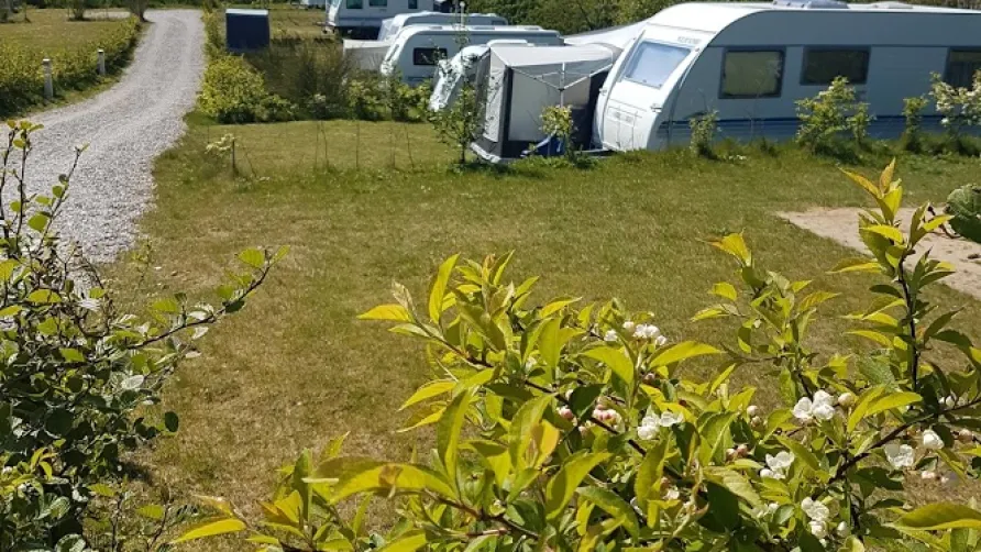 Toftum Bjerge Camping