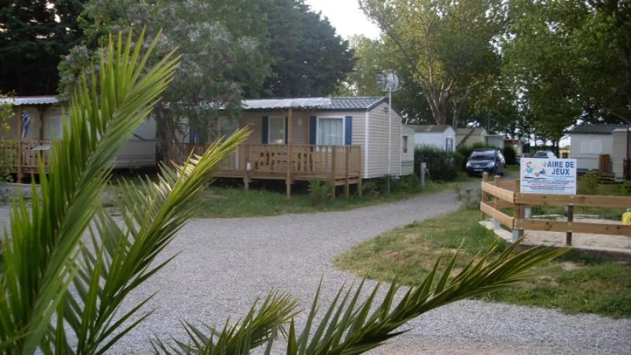 Flower Camping Altea