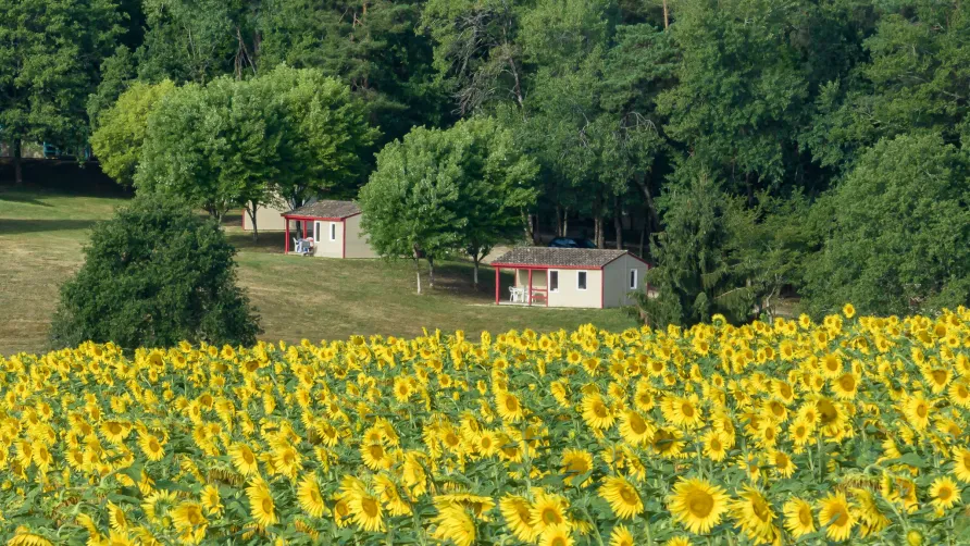 La Forêt Enchantée