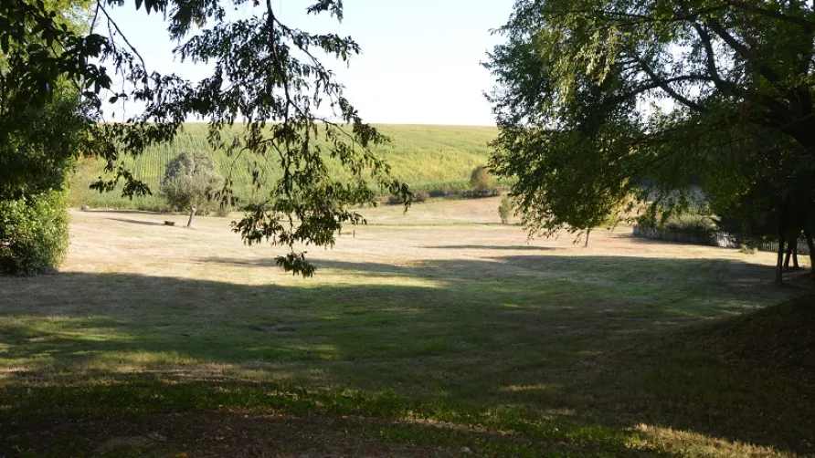 La Forêt Enchantée