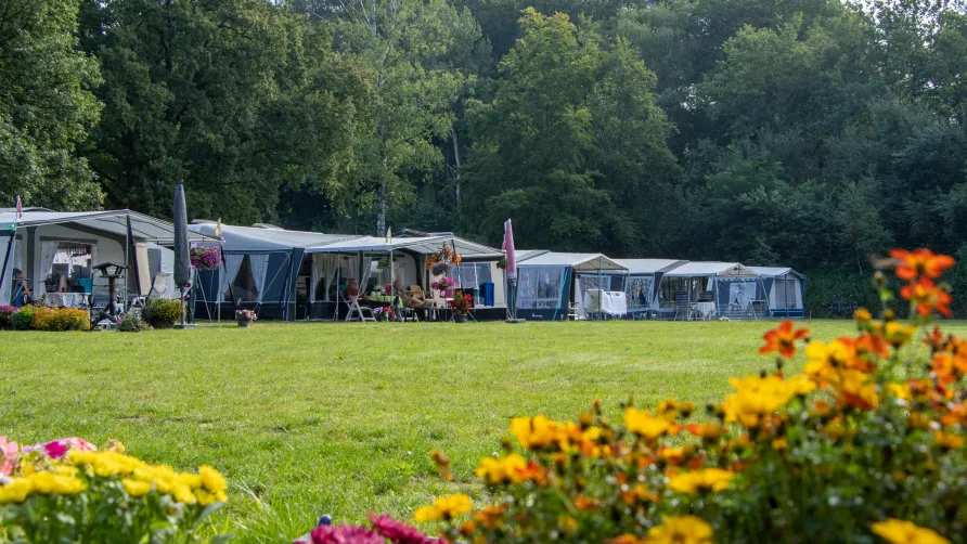 Heidepark Veluwschkarakter