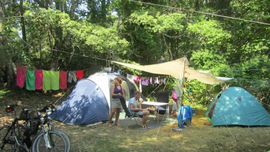 Camping L'Avelanède