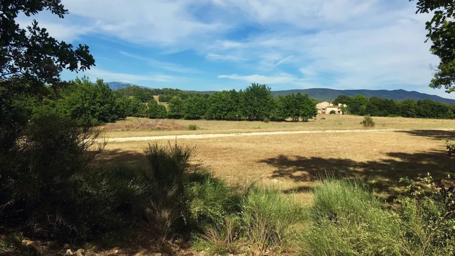 Camping L'Avelanède