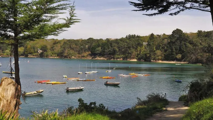 Flower Camping La Grande Lande