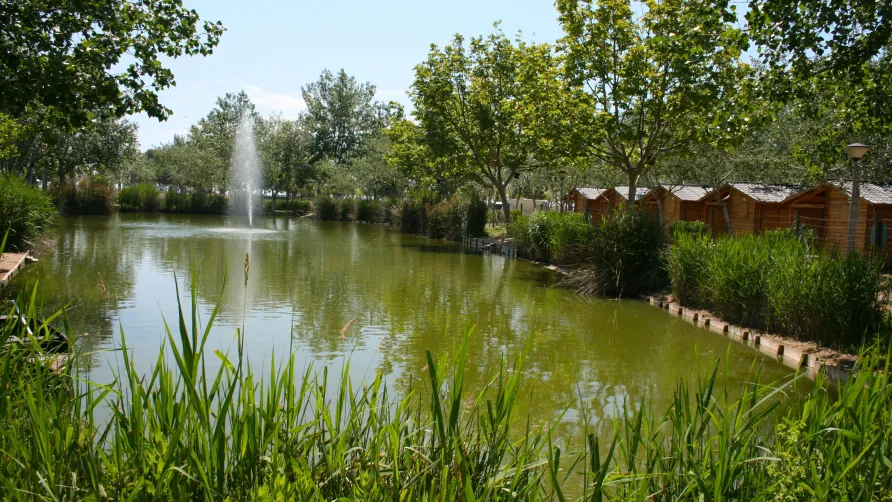 Camping Eucaliptus