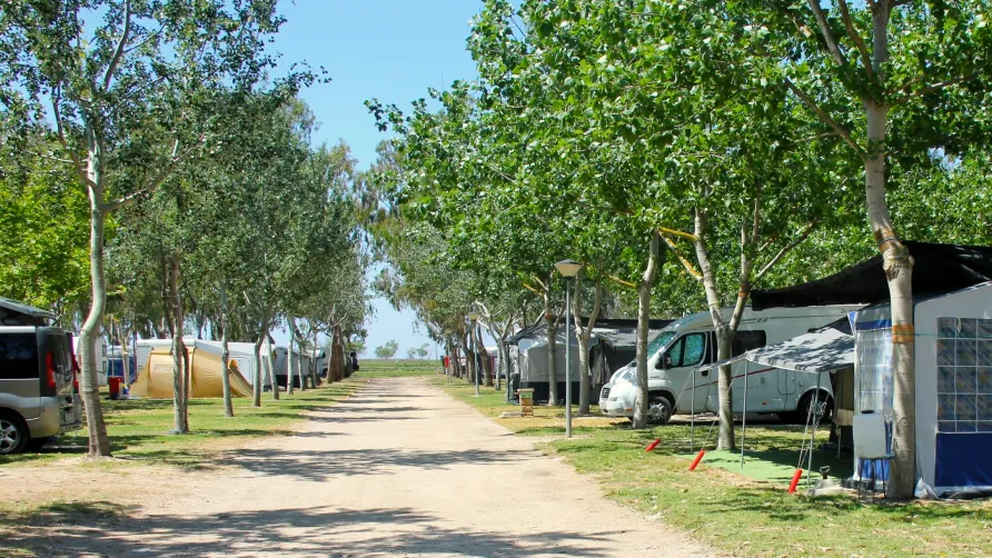 Camping Eucaliptus