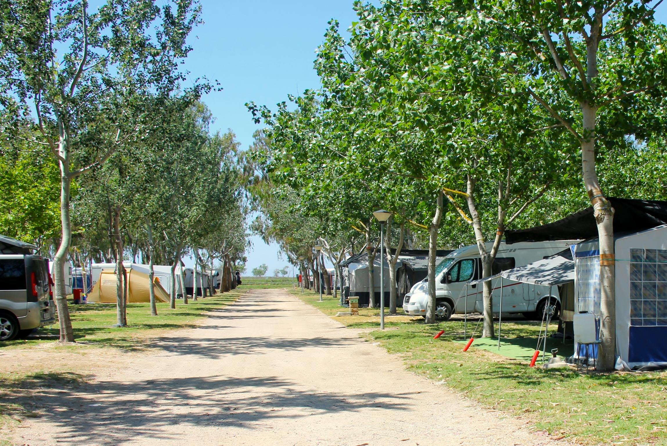 Camping Eucaliptus