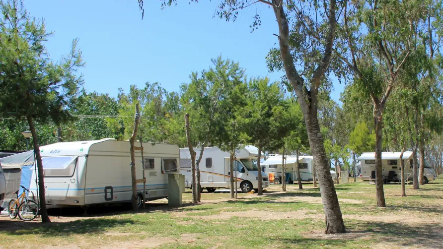 Camping Eucaliptus