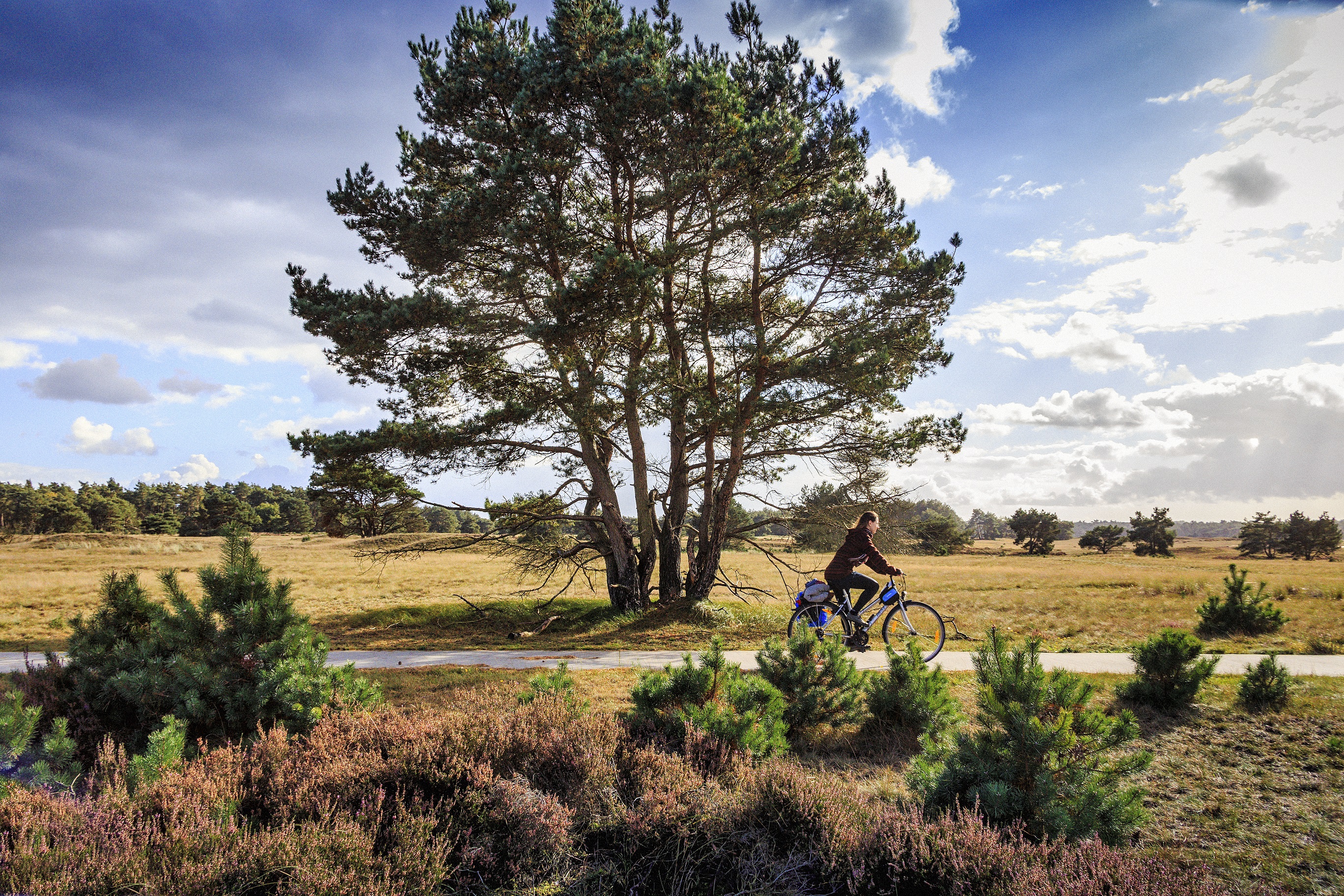 Camping en bungalowpark De Haeghehorst