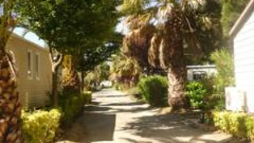Camping Club Le Littoral - MS Vacances