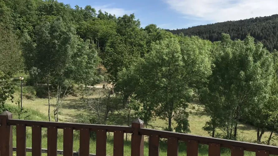 Cepo Verde