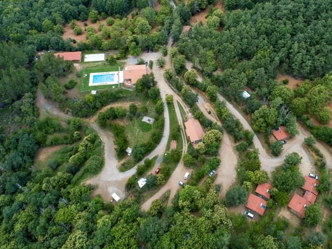 Cepo Verde