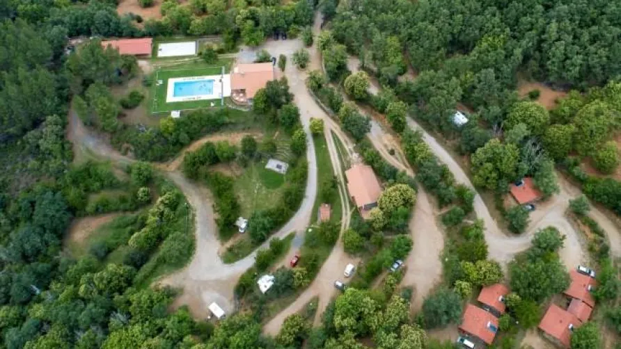 Cepo Verde