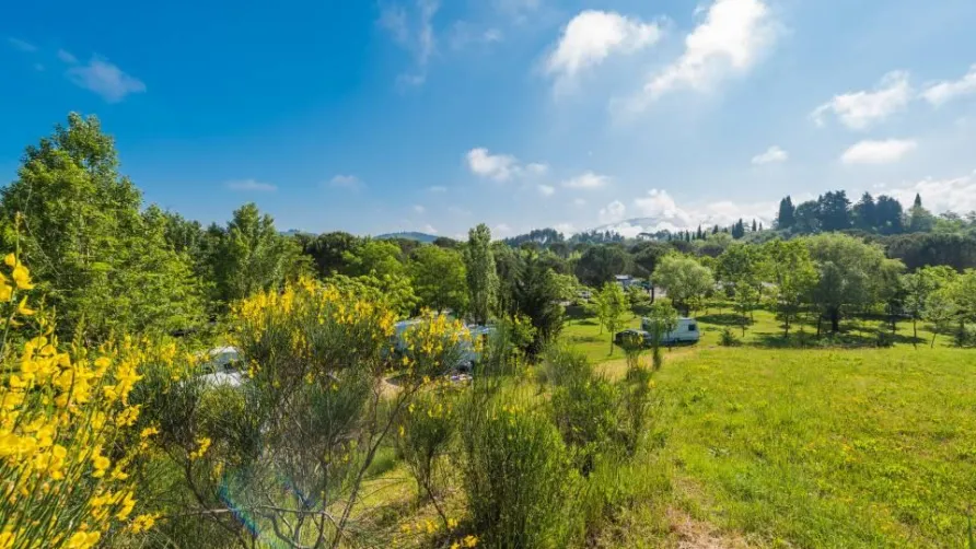 Camping Village Il Poggetto