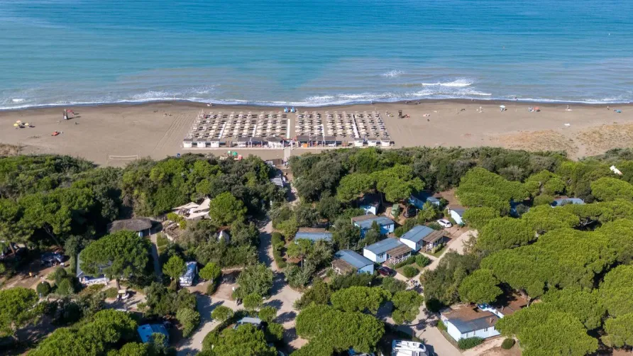 Sandaya Etruria