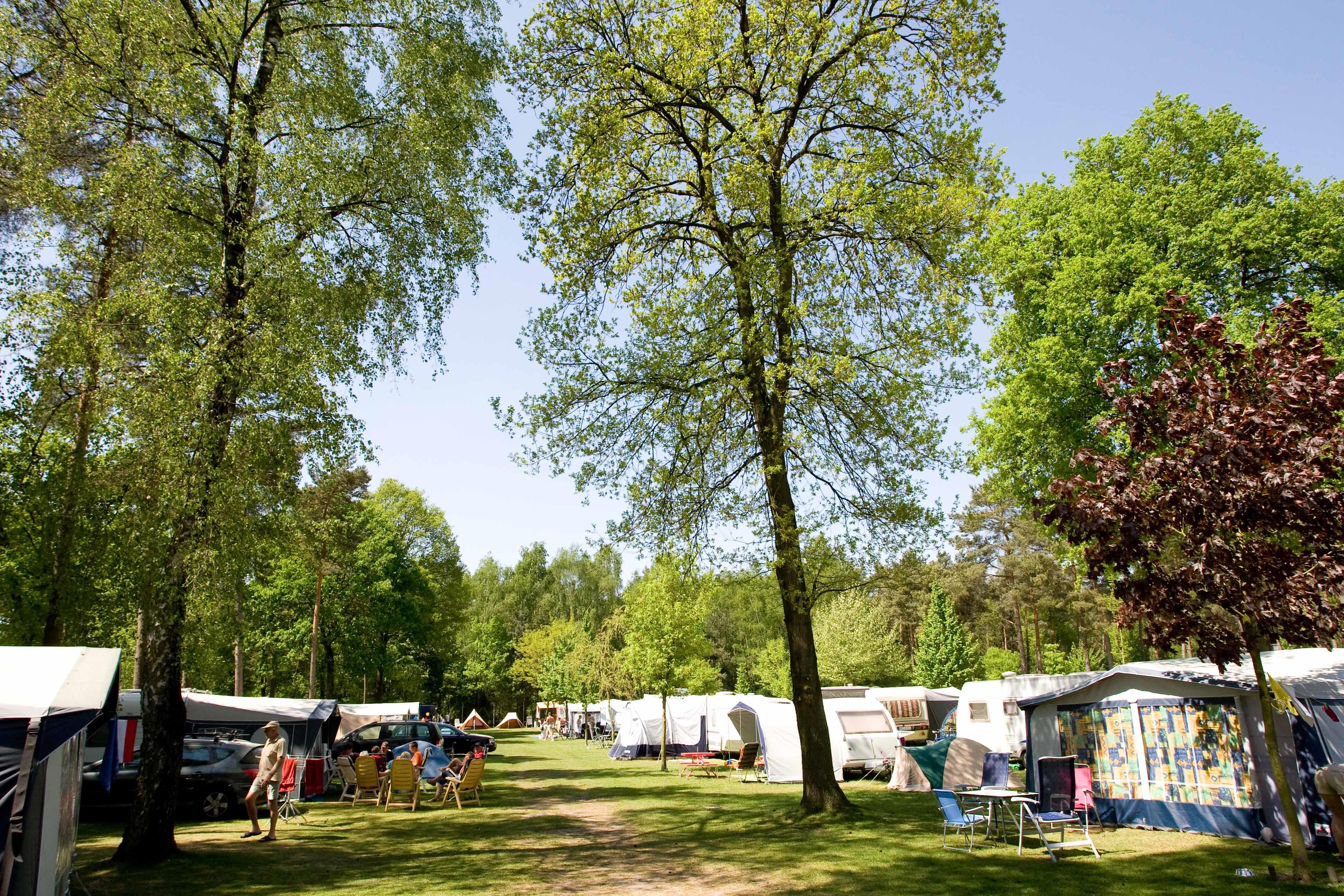 Camping De Heldense Bossen