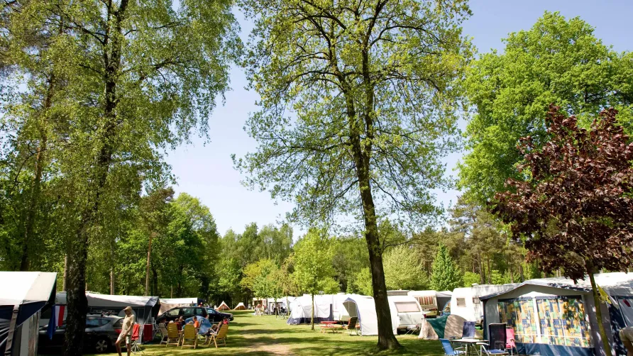 Camping De Heldense Bossen