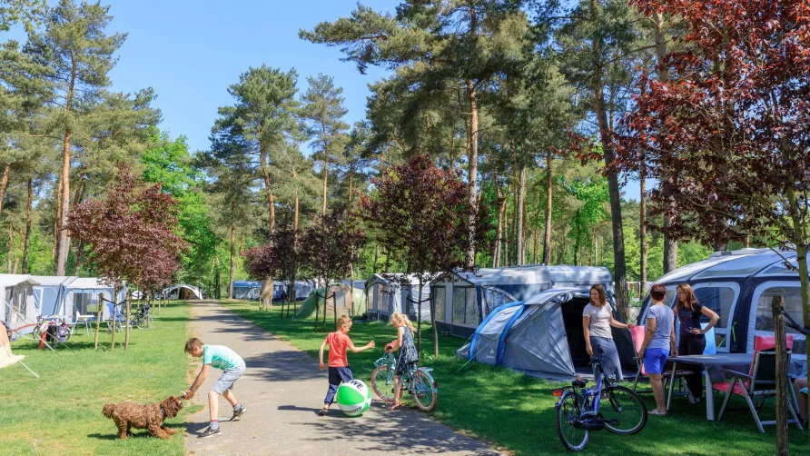 Camping De Heldense Bossen