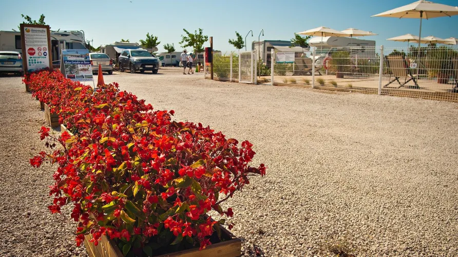 Camper Park Playas de Luz