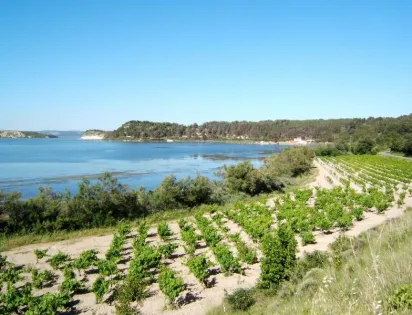 Camping Tohapi - Ensoya