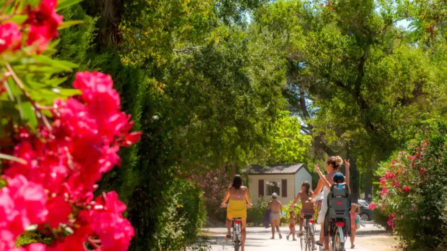 Camping Homair - Domaine des Iscles
