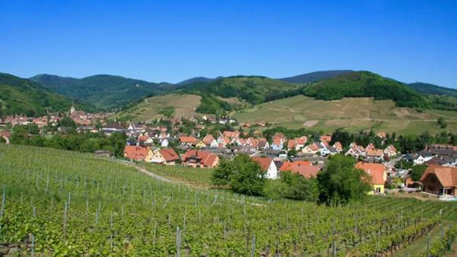 Camping Tohapi - L'Ile du Rhin