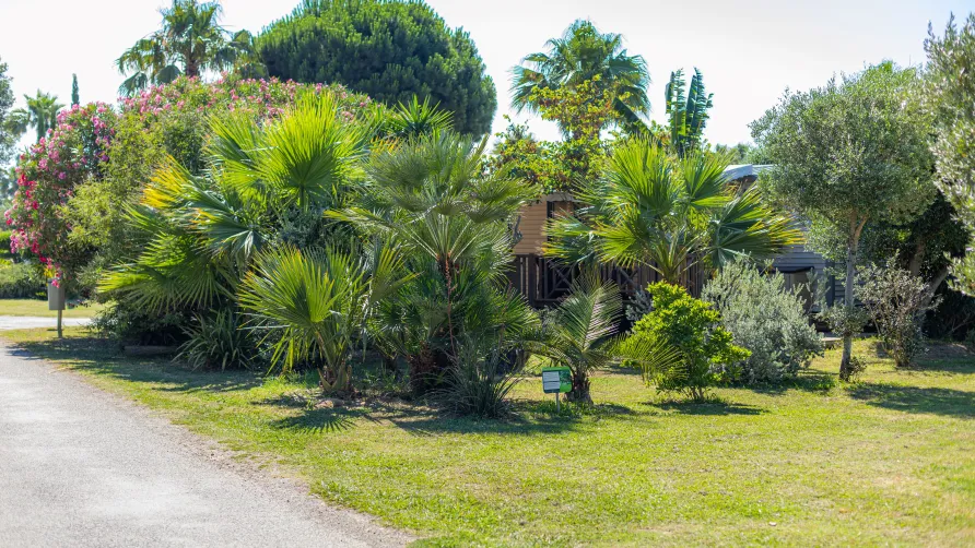 Camping Del Mar
