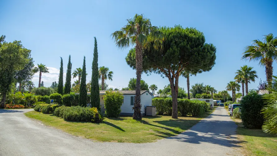 Camping Del Mar