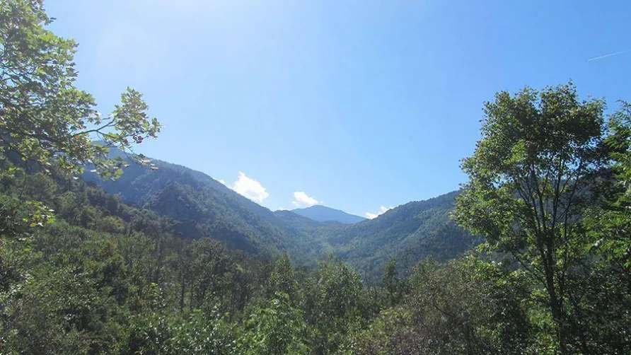Domaine Saint Martin