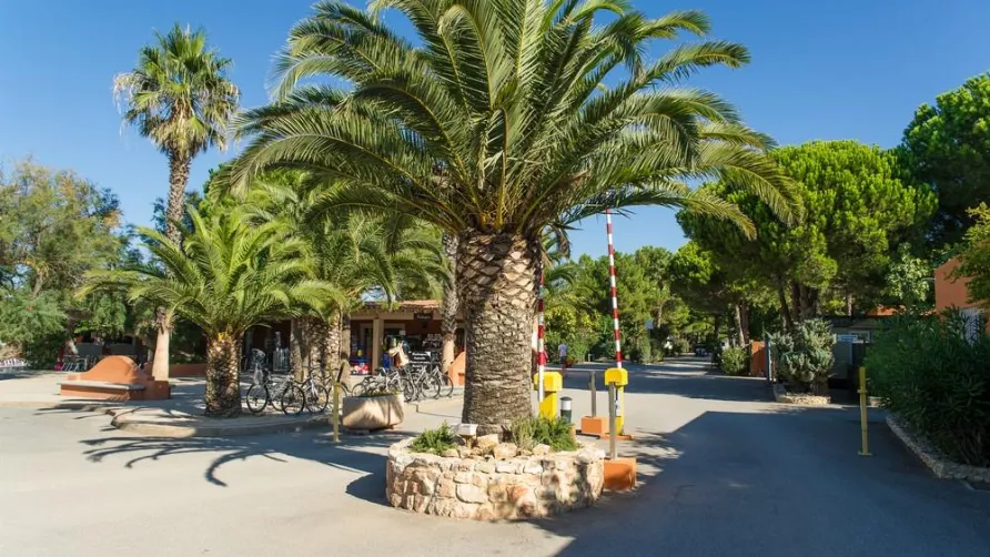 Camping Sandaya Les Tropiques