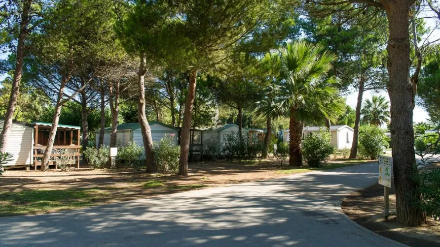 Camping Sandaya Les Tropiques