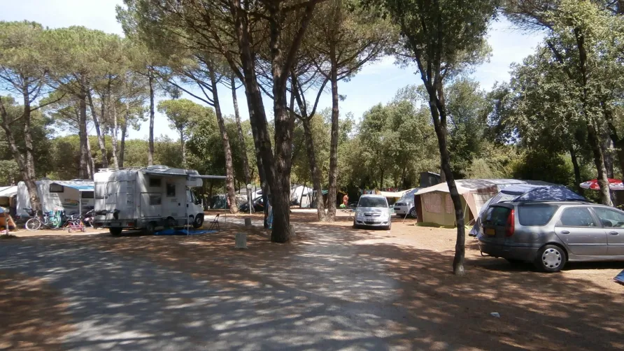 Camping Homair - La Grainetière