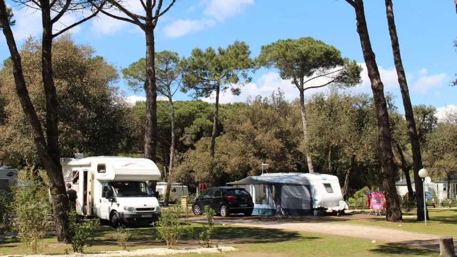 Camping Homair - La Grainetière