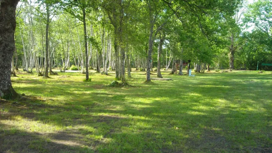 Campings Liberté - Lacanau
