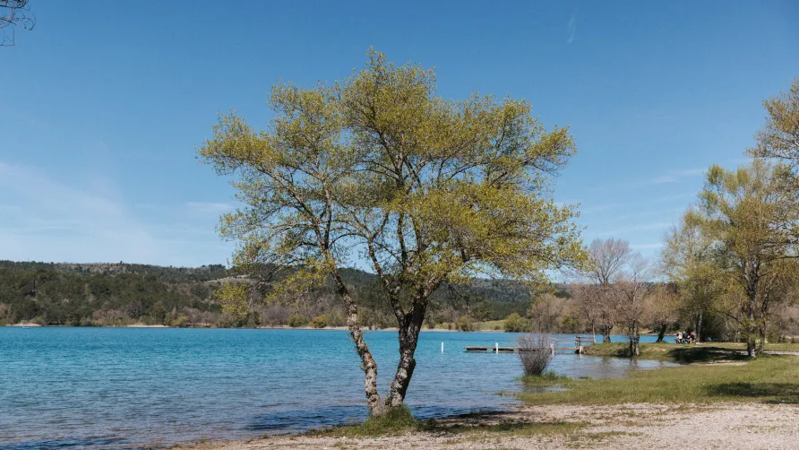 Campings Liberté - Verdon