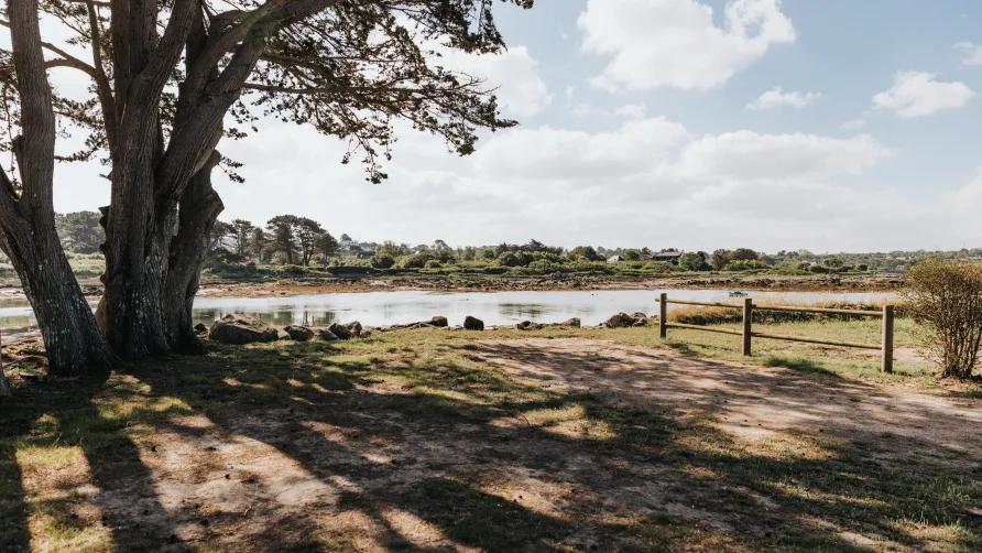 Campings Liberté - Landrellec