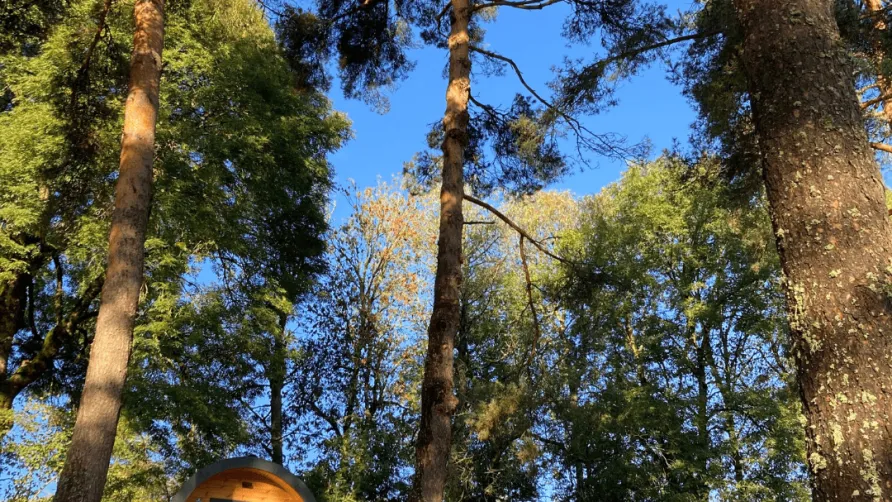 Camping Sérendipité