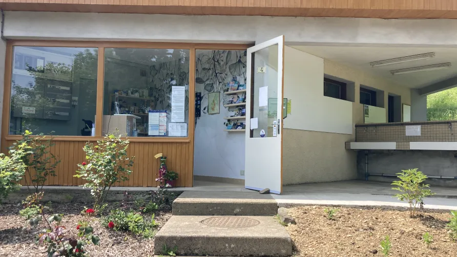 Camping Sérendipité