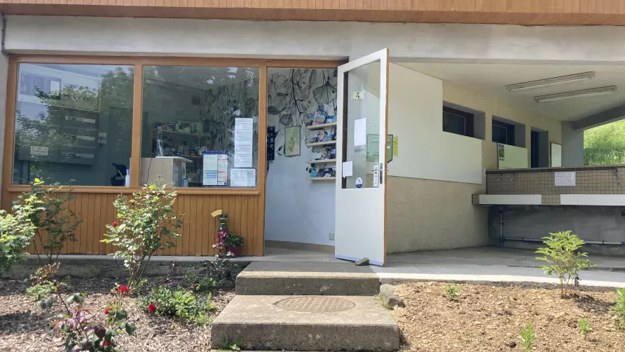 Camping Sérendipité