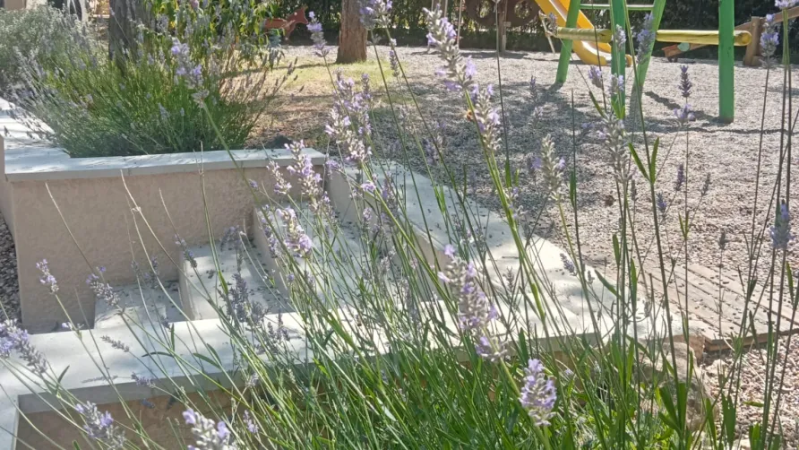 Parc Saint Sauvayre