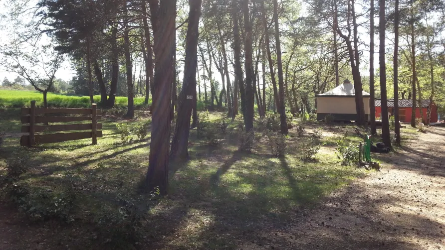Parc Saint Sauvayre