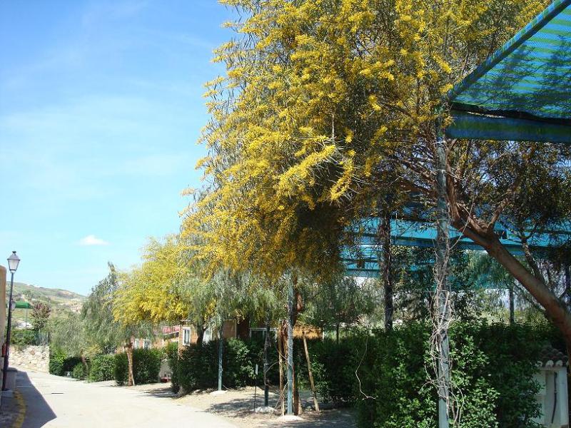 Camping Presa La Viñuela