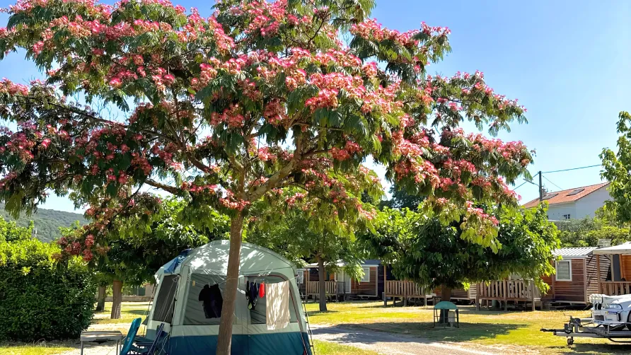 Camping Amélia