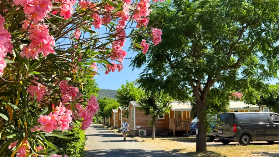 Camping Amélia