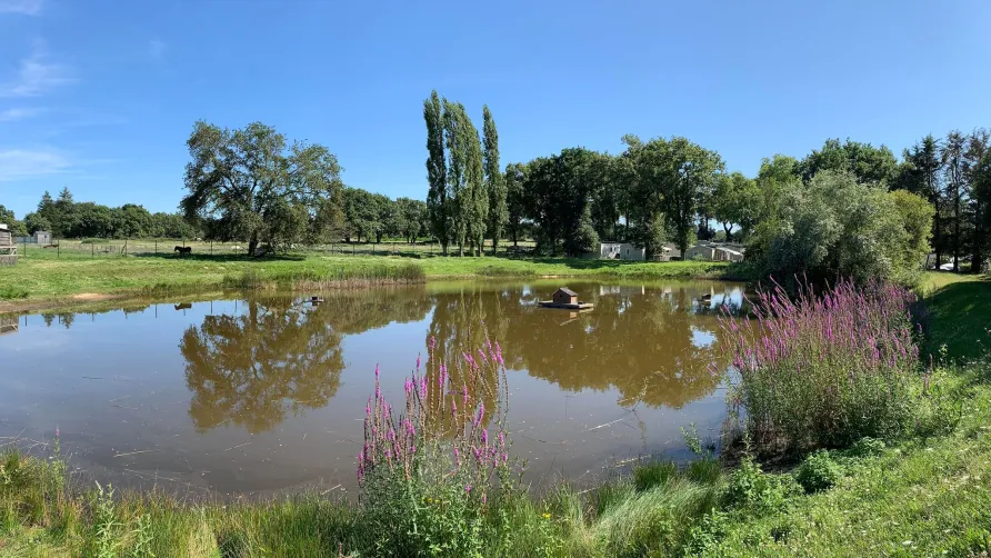 Camping L'Étang du Pays Blanc