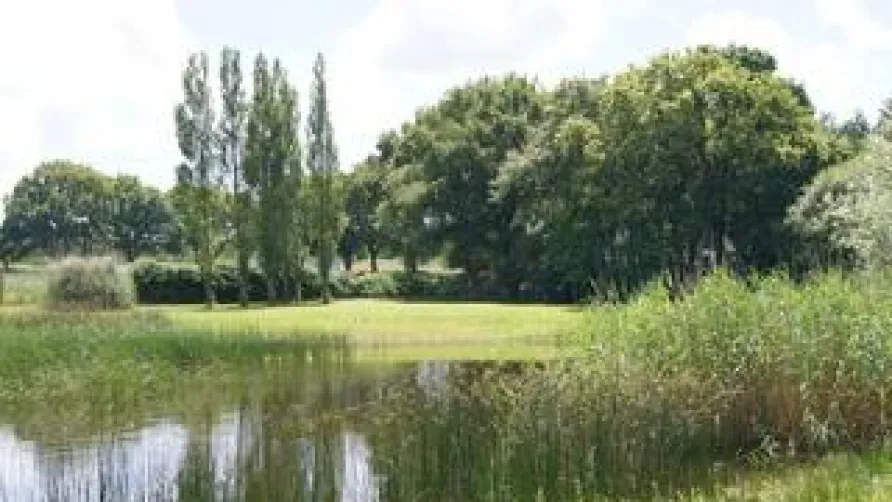 Camping L'Étang du Pays Blanc