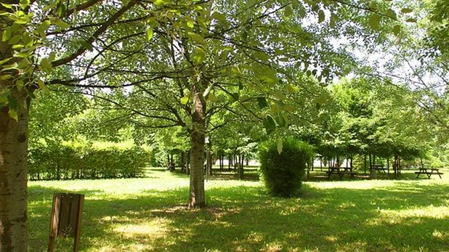 Club del Sole Bologna Easy Camping Village