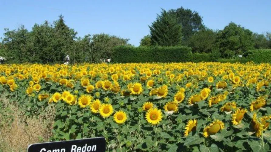 Camp Redon