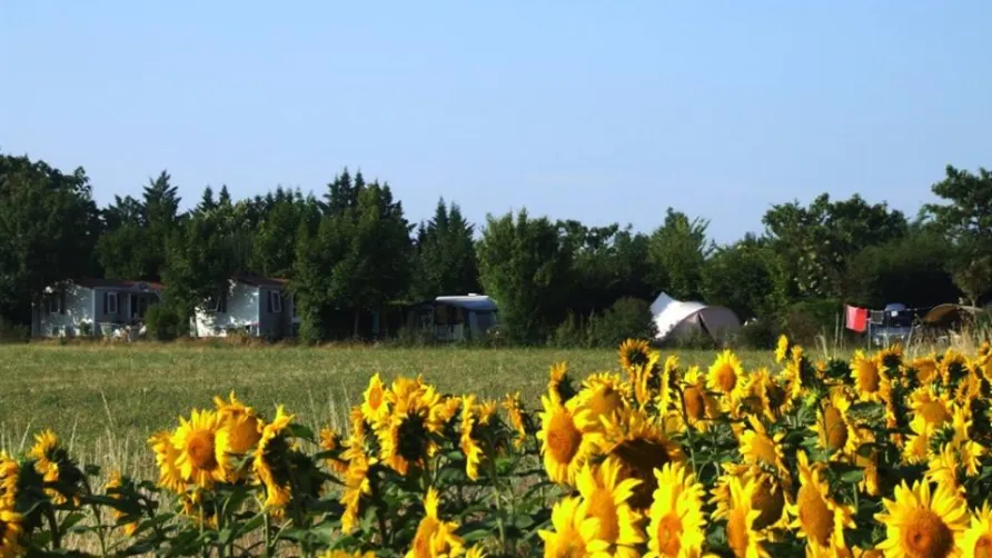 Camp Redon
